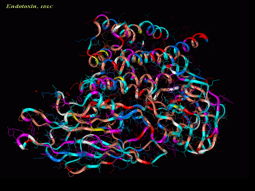 Endotoxin